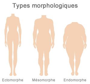 Types morphologiques